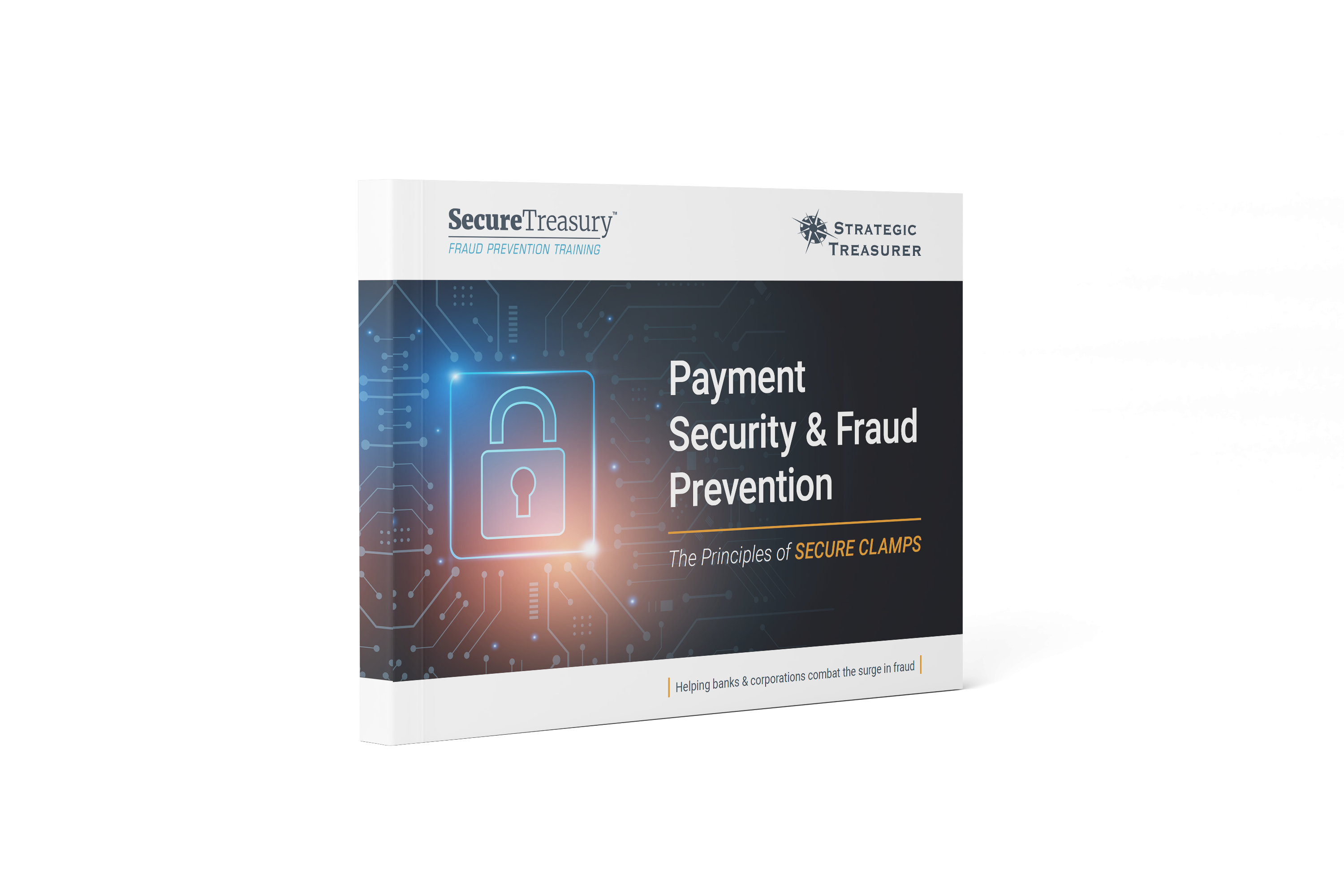 Payment Security & Fraud Prevention [eBook]