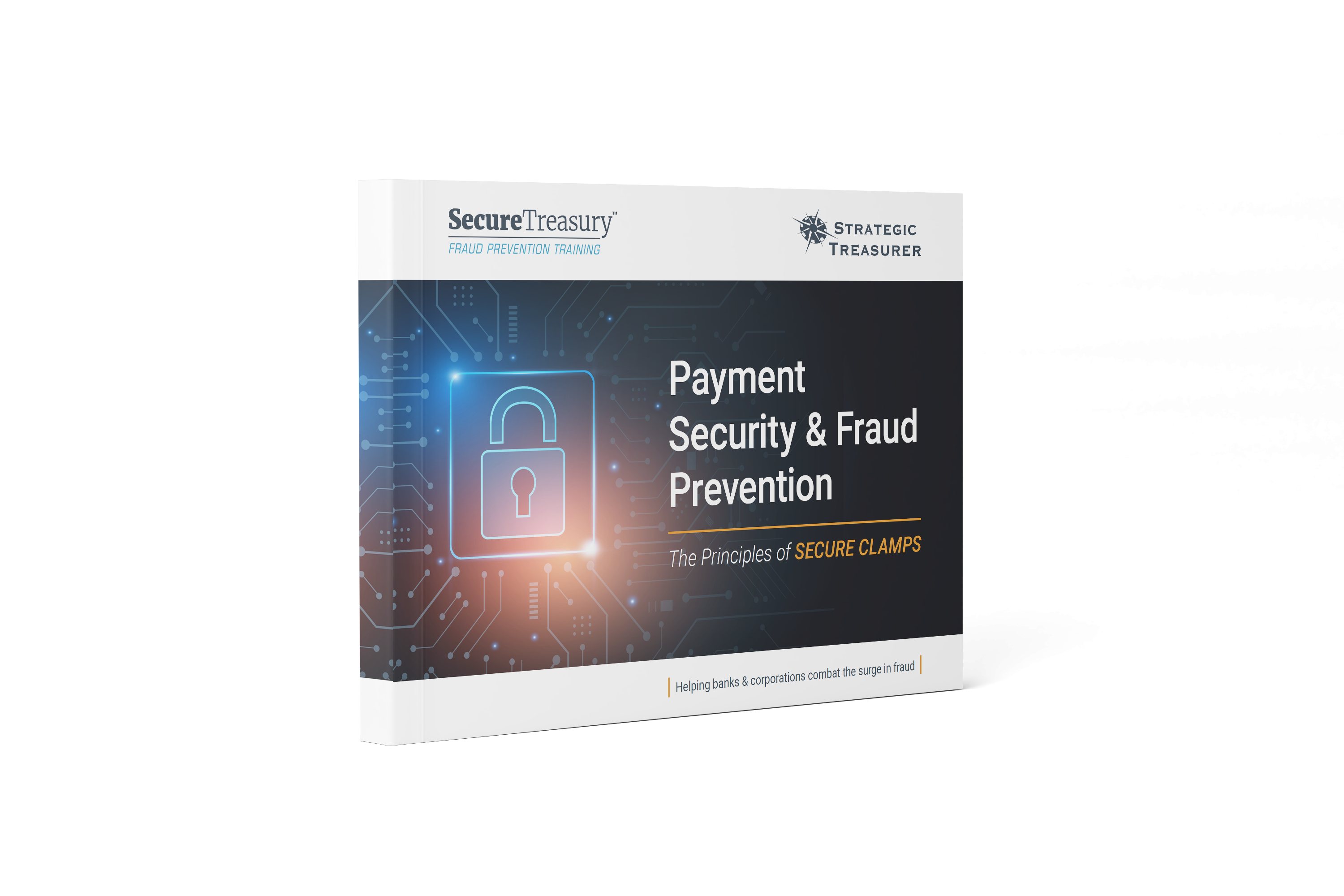 Payment Security & Fraud Prevention [eBook]