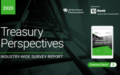 2020 Treasury Perspectives Survey