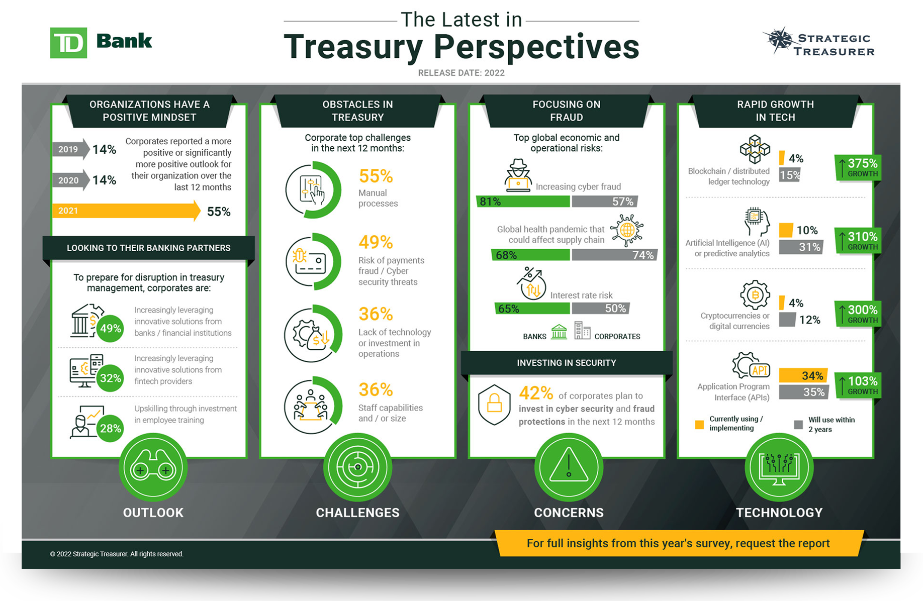 2021 Treasury Perspectives Survey Infographic