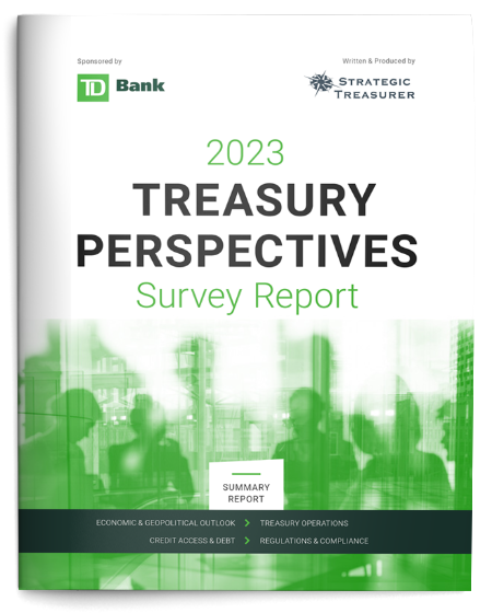 2023 Treasury Perspectives Survey Report