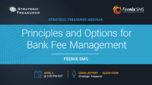 Principles and Options for Bank Fee Management
