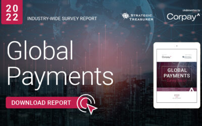 2022 Global Payments Survey