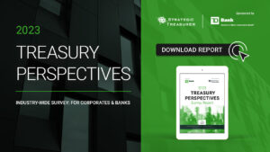 2023 Treasury Perspectives Survey Report