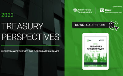 2023 Treasury Perspectives Survey