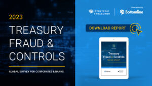 Treasury Fraud & Controls
