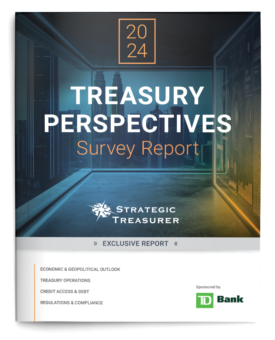 2023 Treasury Perspectives Survey Report