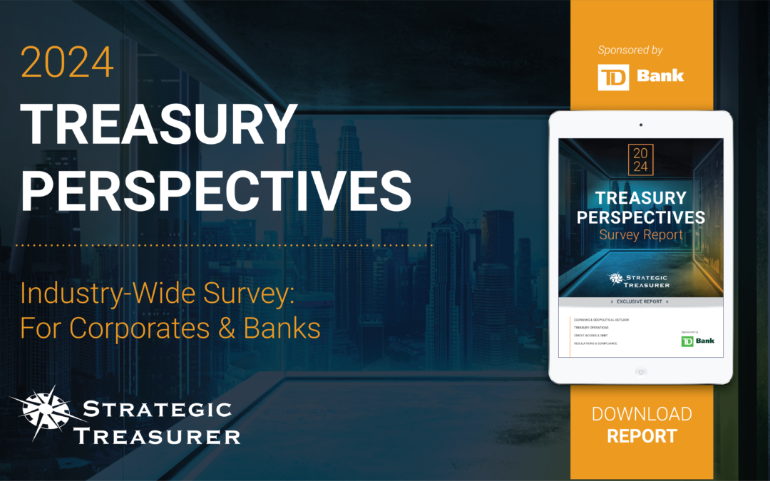 2024 Treasury Perspectives Survey