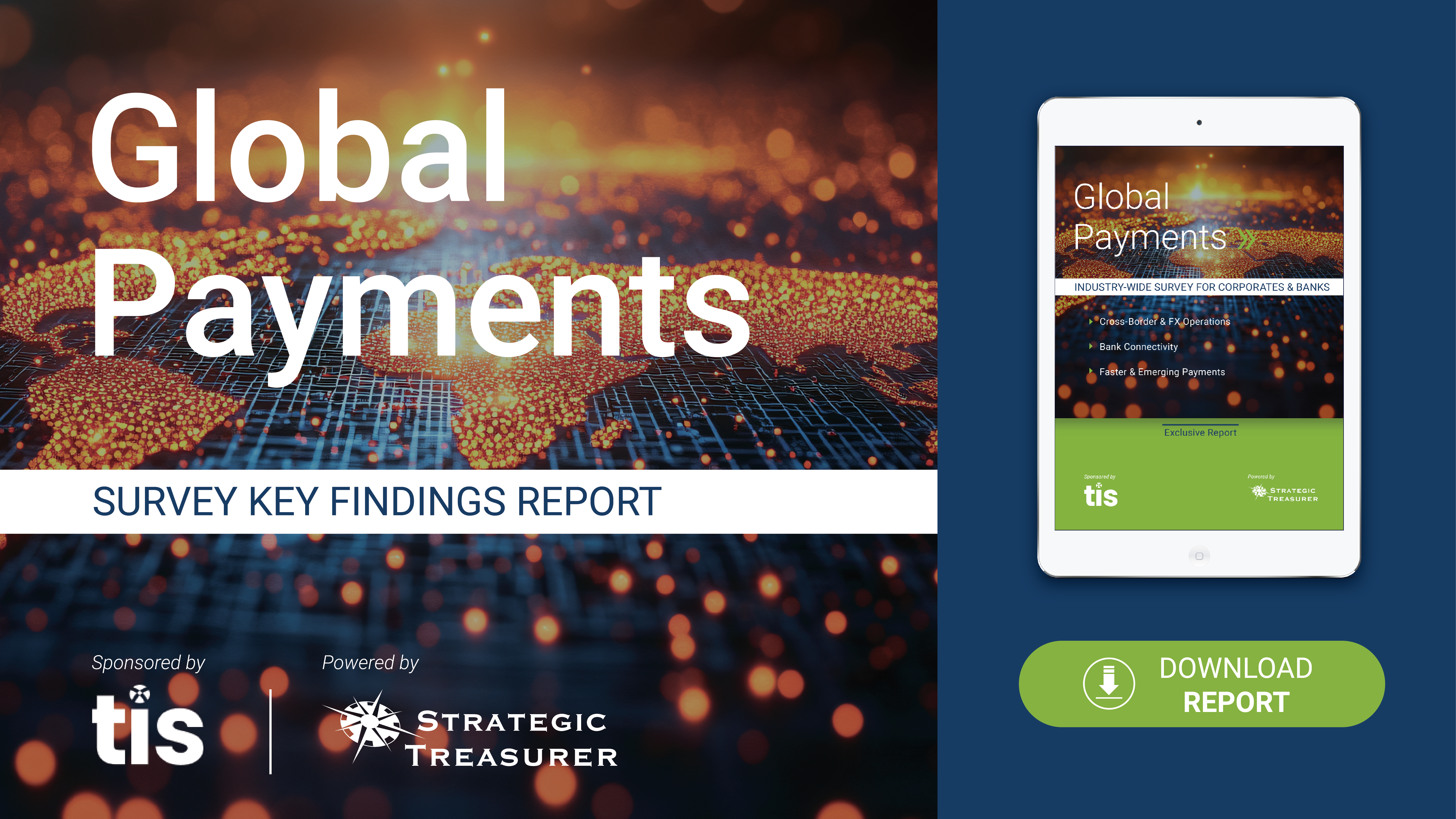 2025 Global Payments Survey Report