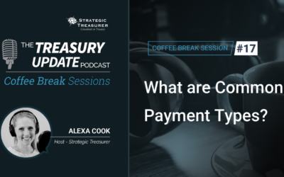 17: What are Common Payment Types?