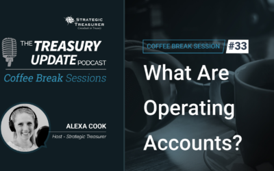 33: What Are Operating Accounts?