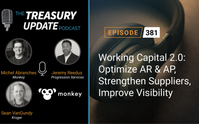 #381 – Working Capital 2.0: Optimize AR & AP, Strengthen Suppliers, Improve Visibility (Monkey)