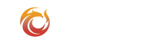 Feenix SMS - Spend Management Solutions