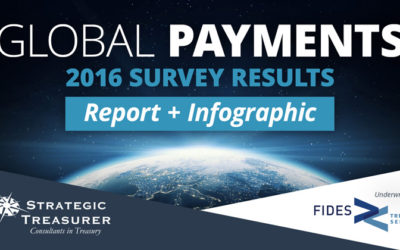 2016 Global Payments Survey