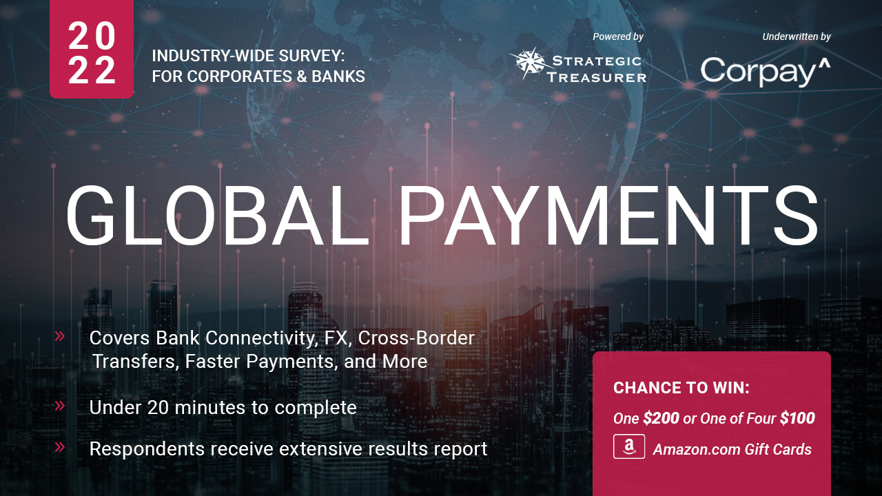 2022 Global Payments Survey