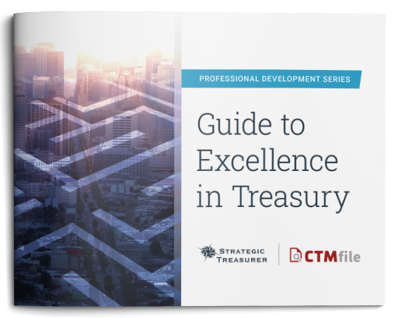 Guide to Excellence in Treasury eBook