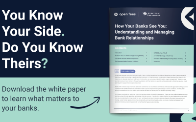 How Your Banks See You: Understanding and Managing Bank Relationships