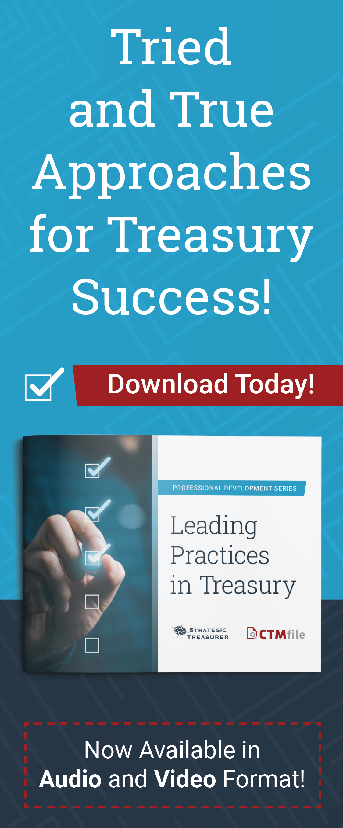 Leading Practices in Treasury