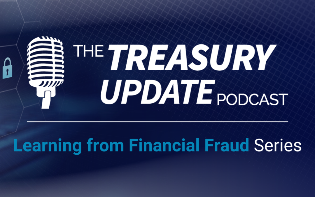Learning from Financial Fraud Series