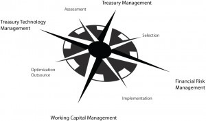 Practice Areas at Strategic Treasurer
