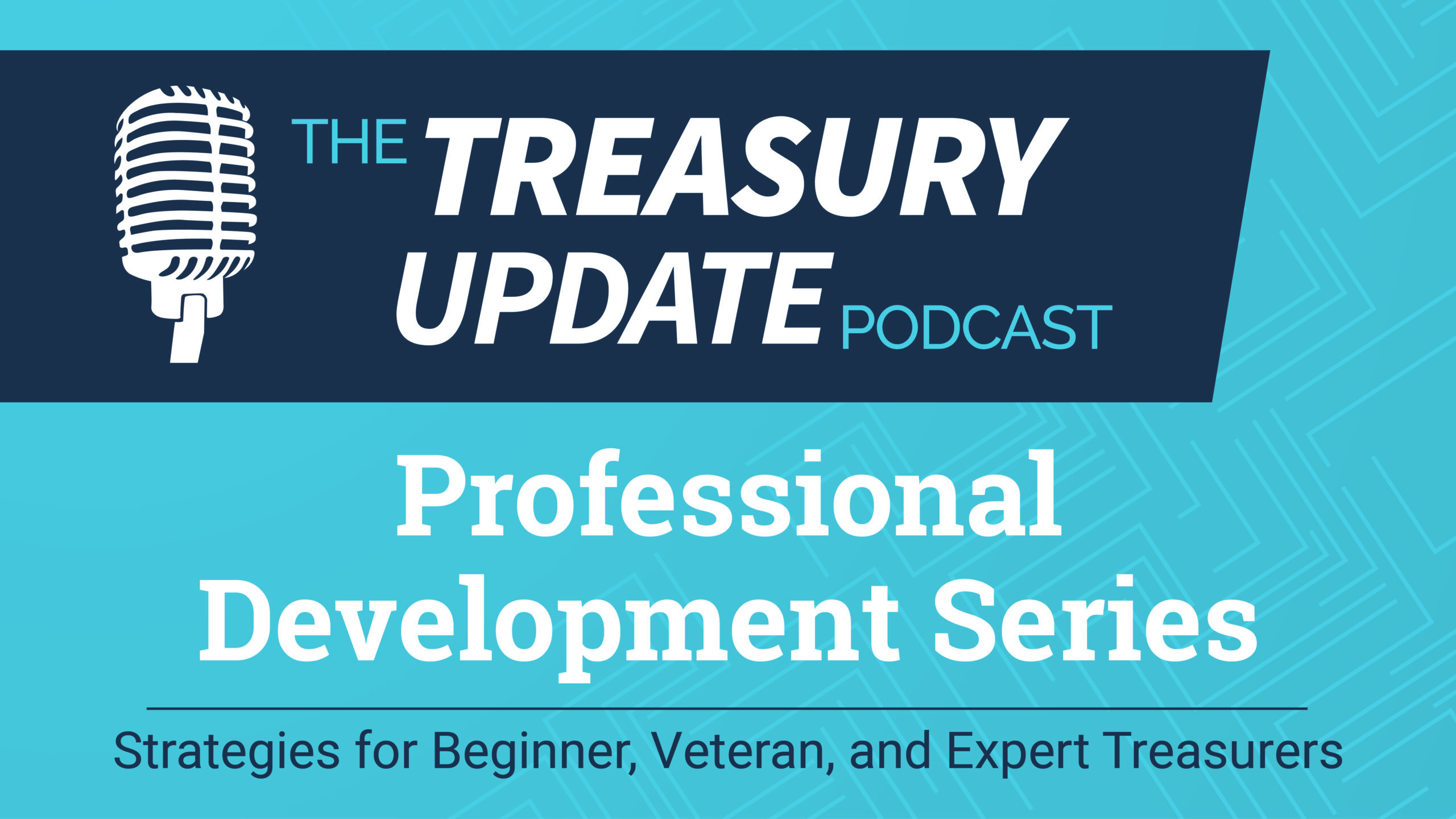 Professional Development Series