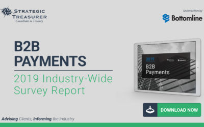 2019 B2B Payments Survey