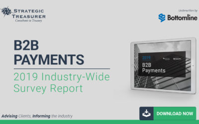 Industry Surveys Strategic Treasurer - 2019 b2b payments survey