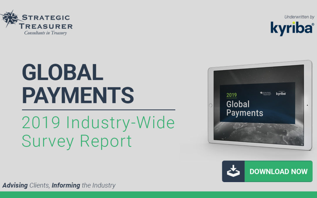 2019 Global Payments Survey