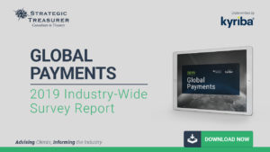 2019 Global Payments Survey Report Download