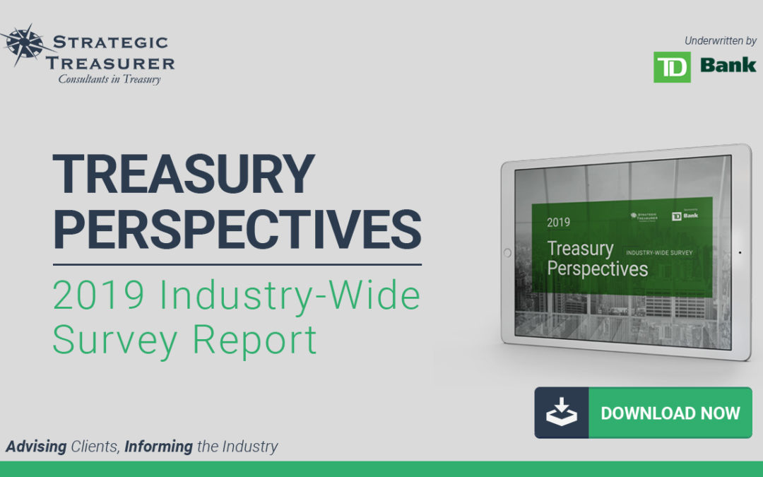 2019 Treasury Perspectives Survey