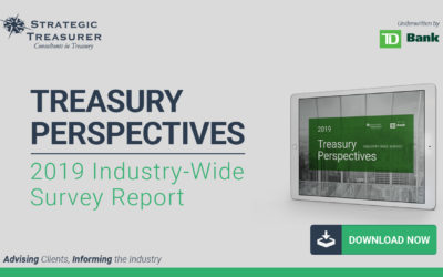 2019 Treasury Perspectives Survey