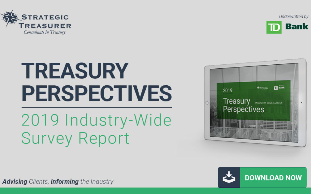 2019 Treasury Perspectives Survey