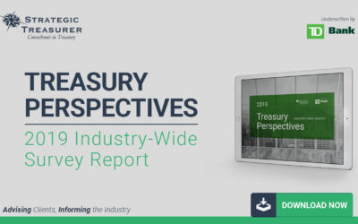 Industry Surveys Strategic Treasurer - 2019 treasury perspectives survey