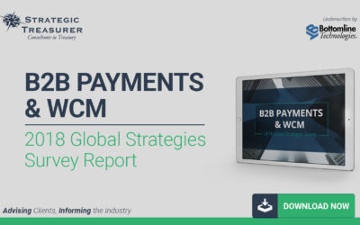 2018 B2B Payments & WCM Strategies Survey