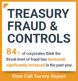 Treasury Fraud & Controls Report download the report today