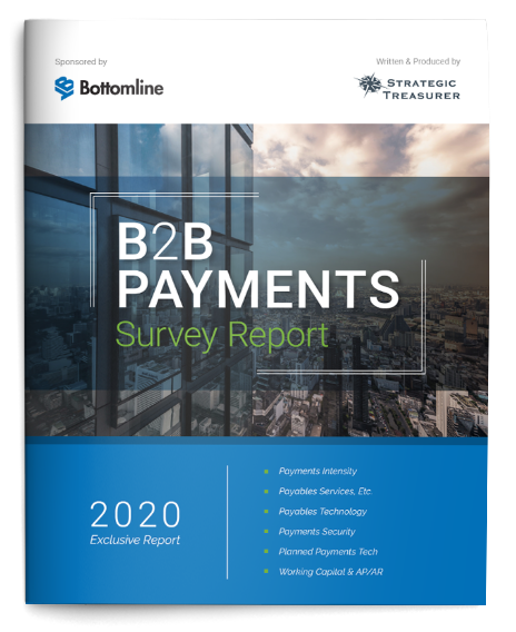2020 B2B Payments Survey Results Report