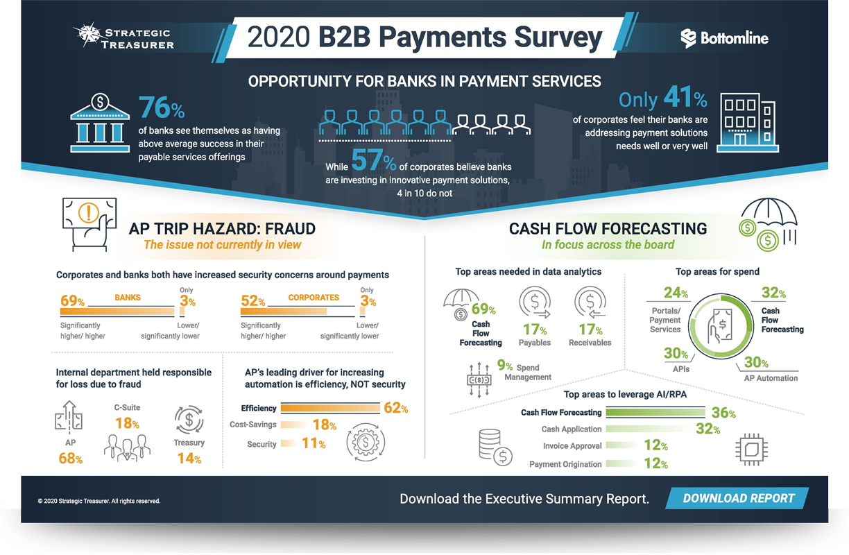 2020 B2B Payments Survey Infographic