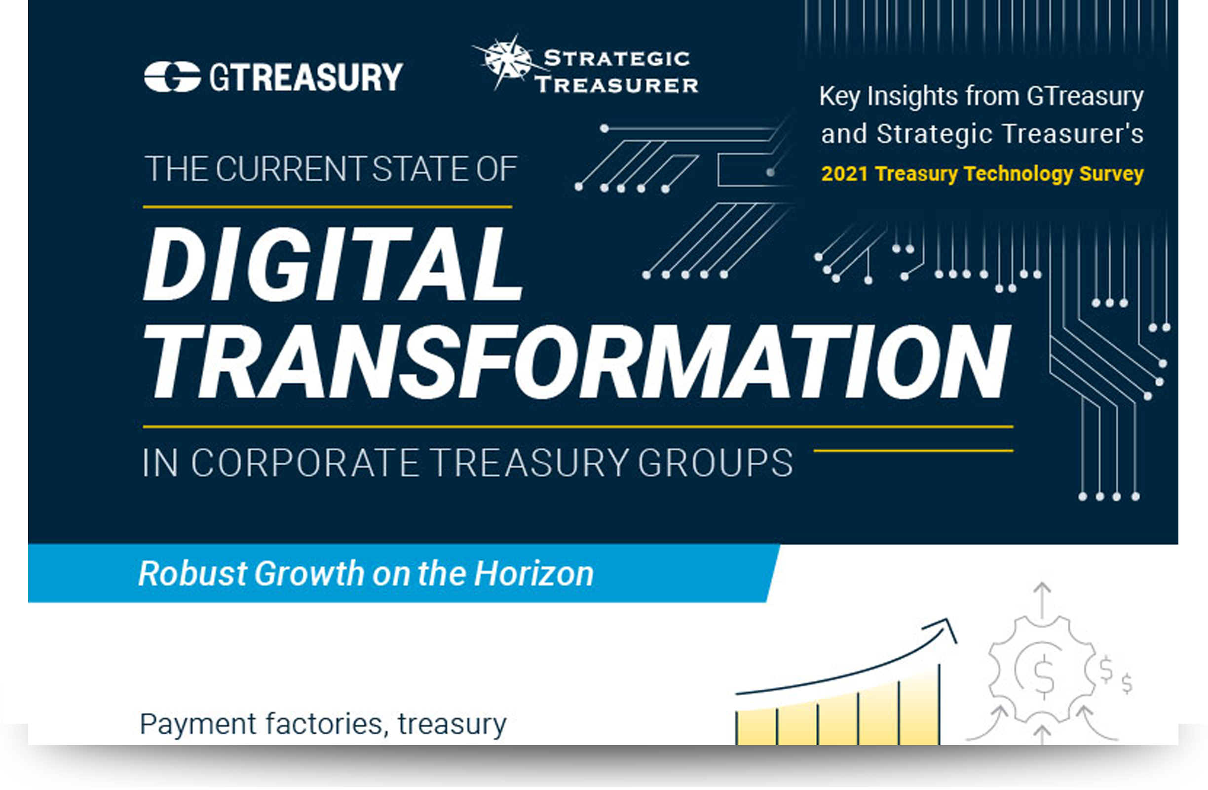 2020 Treasury Perspectives Survey Infographic