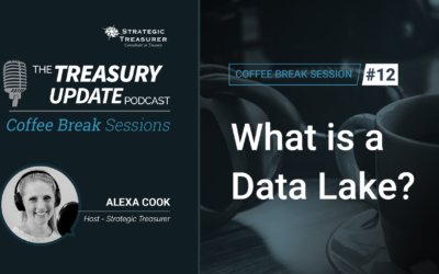 12: What is a Data Lake?