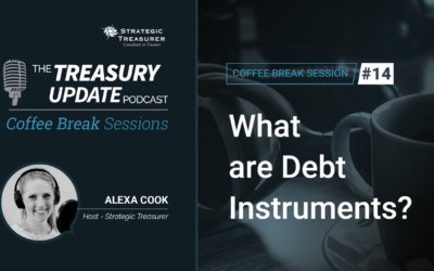 14: What are Debt Instruments?