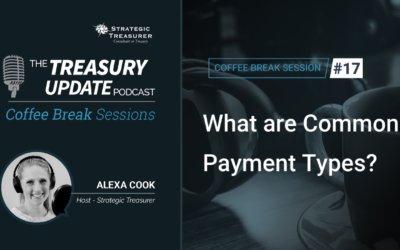 17: What are Common Payment Types?