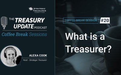 20: What Is a Treasurer?