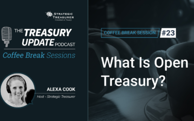 23: What Is Open Treasury?