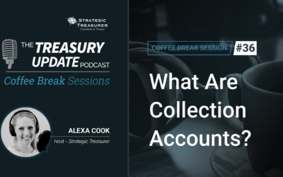 36: What Are Collection Accounts?