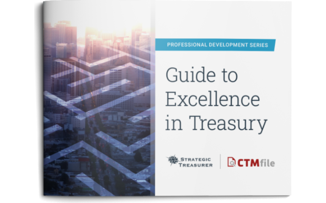 Guide to Excellence in Treasury eBook