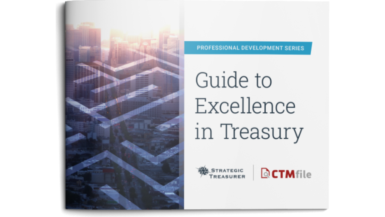 Guide to Excellence in Treasury eBook