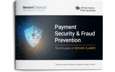 Payment Security & Fraud Prevention: The Principles of Secure Clamps eBook