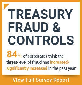 Treasury Fraud & Controls Report download the report today