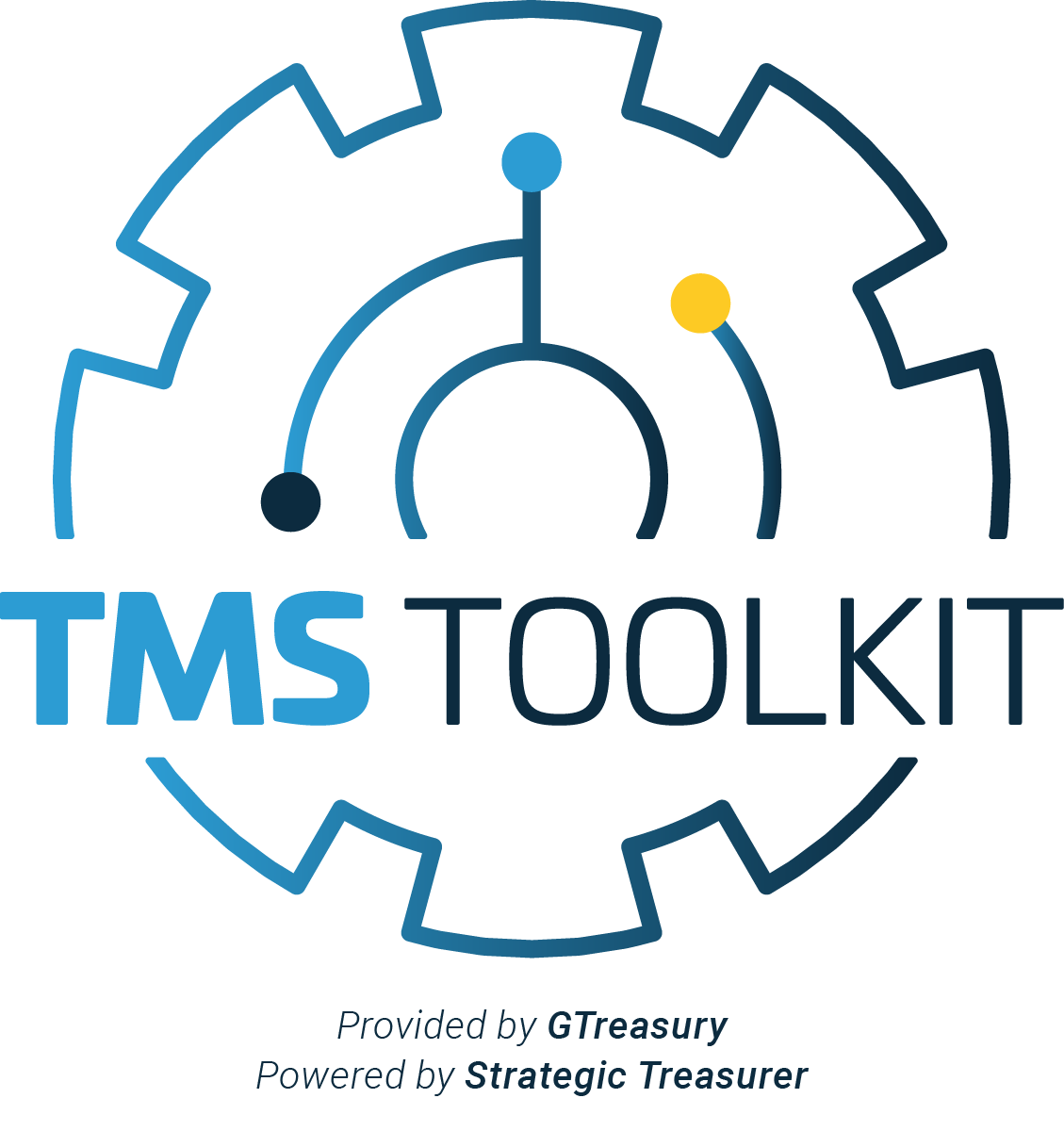 TMS Toolkit Logo